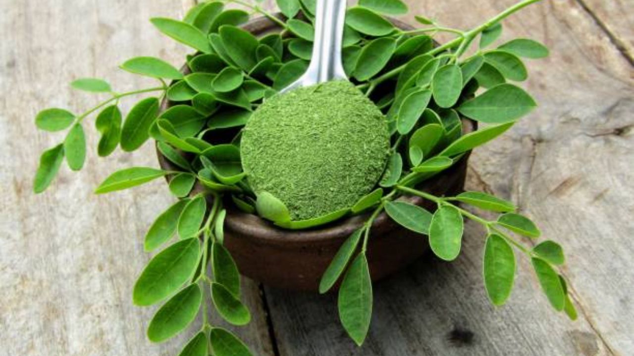 Vitamin B-12 च्या कमतरतेमुळे थकवा वाढला आहे? मग आहारात करा ‘या’ हिरव्या पानांचे सेवन, कायमच राहाल फिट आणि हेल्दी Vitamin B-12 च्या कमतरतेमुळे थकवा वाढला आहे? मग आहारात करा 'या' हिरव्या पानांचे सेवन