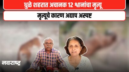 Dhule News : धुळे शहरात 12 श्वानांच्या मृत्यूने खळबळ, कारण अद्याप अस्पष्ट