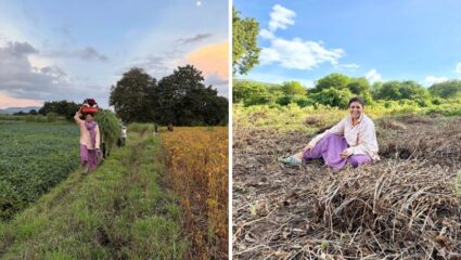 फक्त फोटोशूट नव्हे, अभिनेत्री अश्विनी महांगडे शेतात राबली सुद्धा! नेटकऱ्यांकडून कौतुक… पहा फोटो