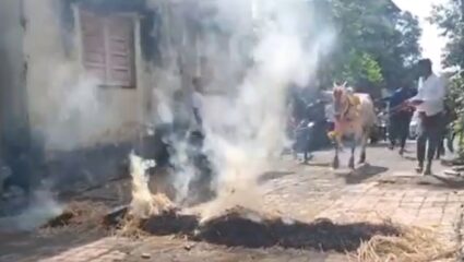 Bhiwandi : खोणी गावातील बलिप्रतिपदेची अनोखी परंपरा