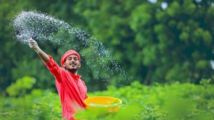 शेतकऱ्यांसाठी महत्वाची बातमी! कमी खर्च, जास्त नफा; सरकारच्या मदतीने ‘या’ पिकाने शेतकऱ्यांचे भाग्य उजळले