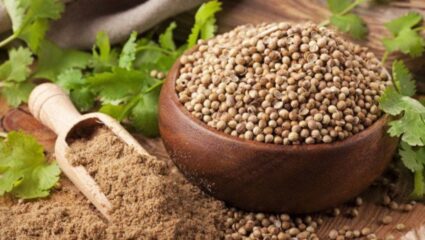 Dhanteras 2025: धनत्रयोदशीला धणे खरेदी करणे शुभ का मानले जाते? कुबेर आणि समृद्धीशी काय आहे संबंध