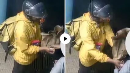 संतापजनक! पार्सल देताना डिलिव्हरी बॉयने महिलेला ‘त्या’ ठिकाणी केला स्पर्श ; पाहून तुमच्याही तळपायाची आग मस्तकात जाईल, VIDEO VIRAL