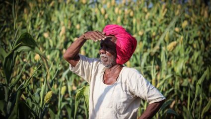 शेतकऱ्यांचे टेन्शन वाढवणारी बातमी!  ‘या’ शेतकऱ्यांना पीएम किसान योजनेचा 21 वा हप्ता मिळणार नाही, यादीत तुमचे नाव तर नाही ना…