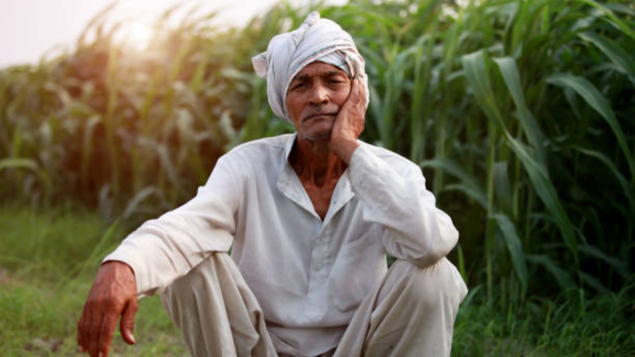 Ahilyanagar News: आधी पावसाने झोडपलं त्यात खतांच्या दरवाढीने कंगाल केलं! शेतकऱ्यांच्या ‘रब्बी’ चे गणित बिघडले फोटो सौजन्य: iStock