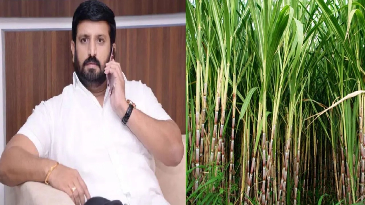 Nilesh Ghaywal : गुंड निलेश घायवळला आणखी एक मोठा दणका; उसाच्या शेतात लपवलेली ती… गुंड निलेश घायवळला आणखी एक मोठा दणका; उसाच्या शेतात लपवलेली ती...