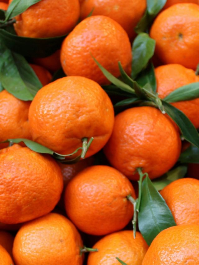 जगात सर्वात जास्त संत्री कुठे पिकतात ?