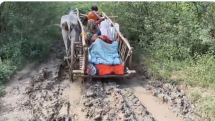 UP Pregnant women viral video: माणुसकीला काळीमा! गर्भवती महिलेचा चिखलातून 3 किमी प्रवास, उत्तर प्रदेशातील धक्कादायक घटना