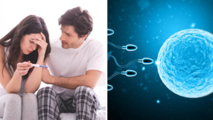 Infertility Reason: लठ्ठपणामुळे Reproductivity आरोग्यावर होतोय दुष्परिणाम, वंध्यत्व येण्याचे महत्त्वाचे कारण