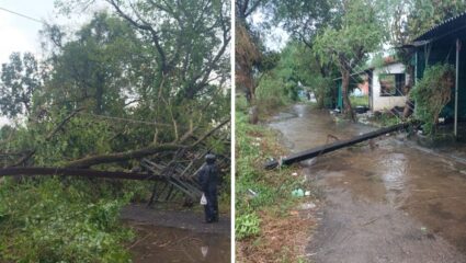 कर्जत तालुक्यात वादळी वाऱ्यामुळे वीज पुरवठा ठप्प; शेतीचे मोठे नुकसान