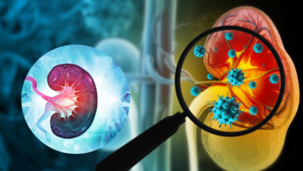 Urine मध्ये दिसून येतात Kidney Damage चे संकेत, 5 बदल दिसताच त्वरीत भेटा डॉक्टरांना