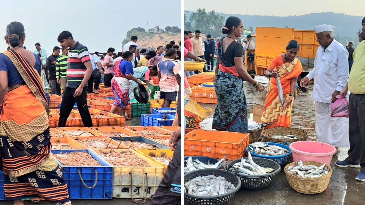 दिवाळीच्या सुट्टीत कोकणात पर्यटकांची झुंबड; मुंबई-गोवा महामार्गावर वाहतूक कोंडी आणि मासळी बाजारात तुडुंब गर्दी दिवाळीच्या सुट्टीत कोकणात पर्यटकांची झुंबड