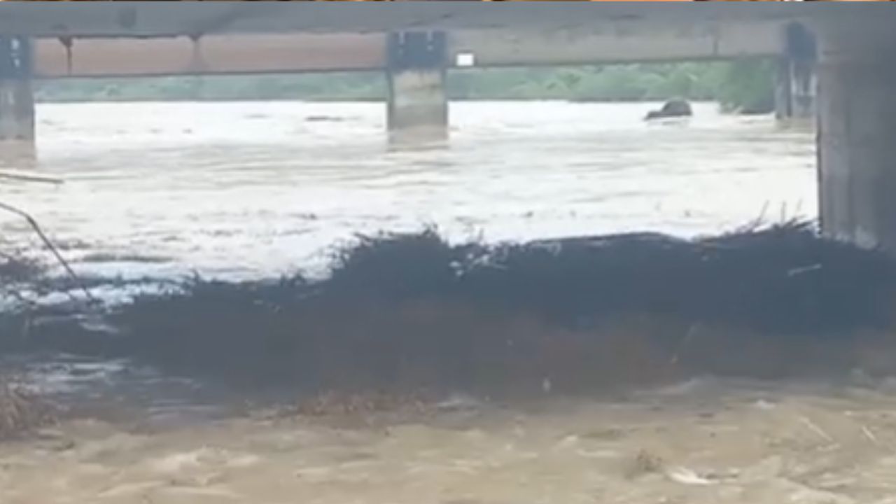 Latur : जिल्ह्यात पावसाचा कहर; रेना नदीकाठच्या शेतकऱ्यांचे मोठे नुकसान