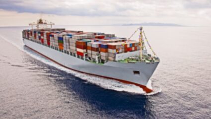 325 crore shipping fraud: मुंबईत ३२५ कोटींचा शिपिंग घोटाळा! भारतीय आणि परदेशी एजन्सींवर धक्कादायक आरोप