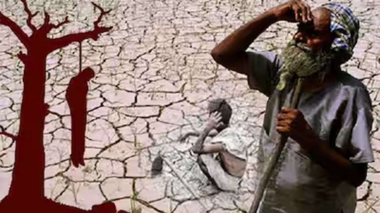 Wardha farmers suicide:दिवाळी ठरली काळरात्र! वर्धा जिल्ह्यात ऐन दिवाळीत १४ शेतकऱ्यांच्या आत्महत्या 14 farmers commit suicide in Wardha district during Diwali