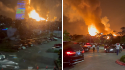 Los Angeles Fire: धुराने माखले आकाश, रिफायनरीला भीषण आग, Video पाहून अंगावर येईल काटा