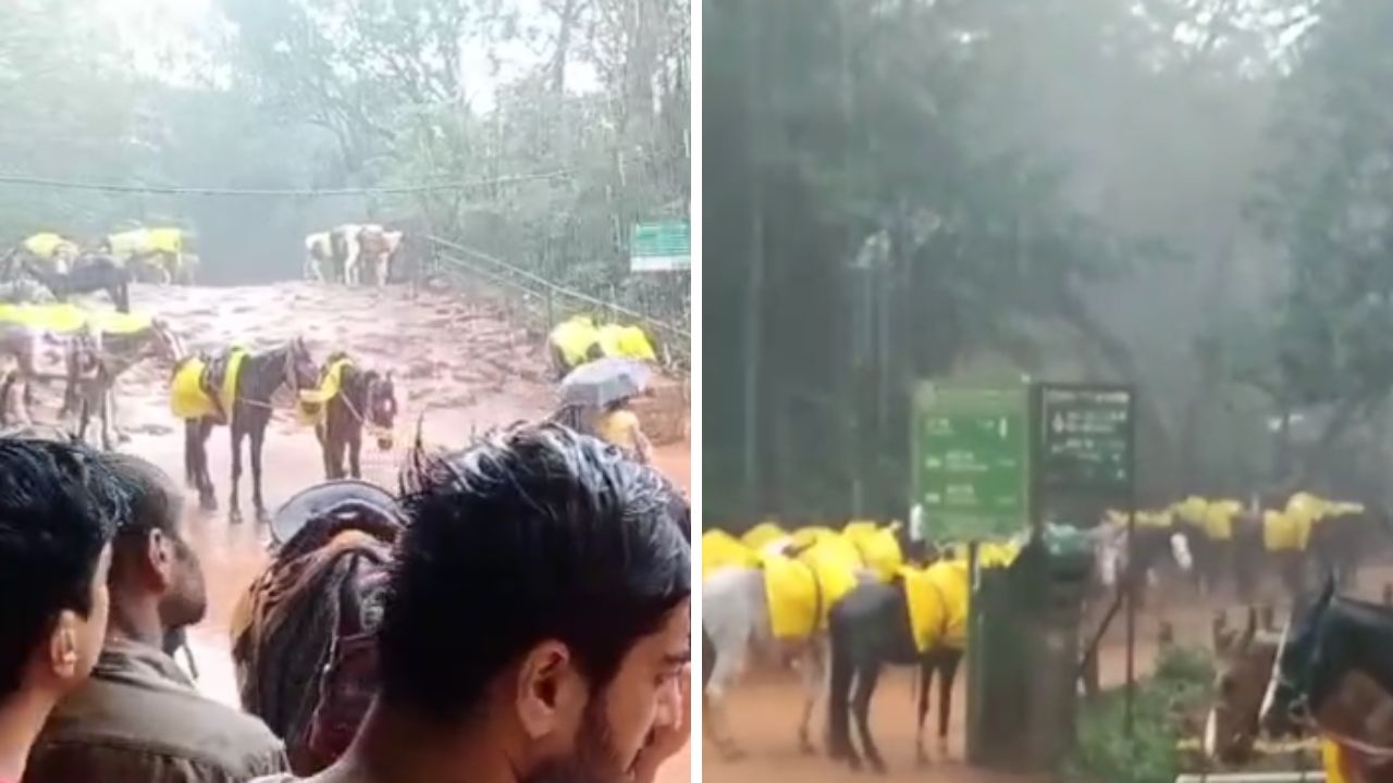 Matheran News : सरत्या पावसाने माथेरानला झोडपलं! सुट्टीची मज्जा घेण्यासाठी आलेल्या पर्यटकांची तारांबळ Matheran News : सरत्या पावसाने माथेरानला झोडपलं! सुट्टीची मज्जा घेण्यासाठी आलेल्या पर्यटकांची तारांबळ