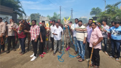 Balipratipada: बदलापूर गावातील अनोखी प्रथा! बैलांना आगीवरून उडी मारण्यास लावले जाते