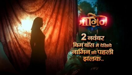 अखेर प्रेक्षकांची संपली प्रतीक्षा, नागिनची दिसली पहिली झलक; जाणून घ्या मालिका कधी होणार रिलीज