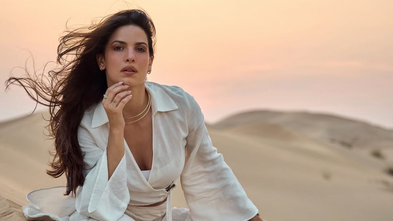 पांढऱ्या क्रॉप टॉप आणि पॅलाझो पँटमधील अभिनेत्रीचा स्टाईल चाहत्यांना आवडली आहे. तिने कमीत कमी ॲक्सेसरीज आणि सॉफ्ट मेकअपने तिचा लूक पूर्ण केला. या व्हायरल फोटोंमध्ये नताशा स्टॅन्कोविक खूपच सुंदर दिसत आहे.