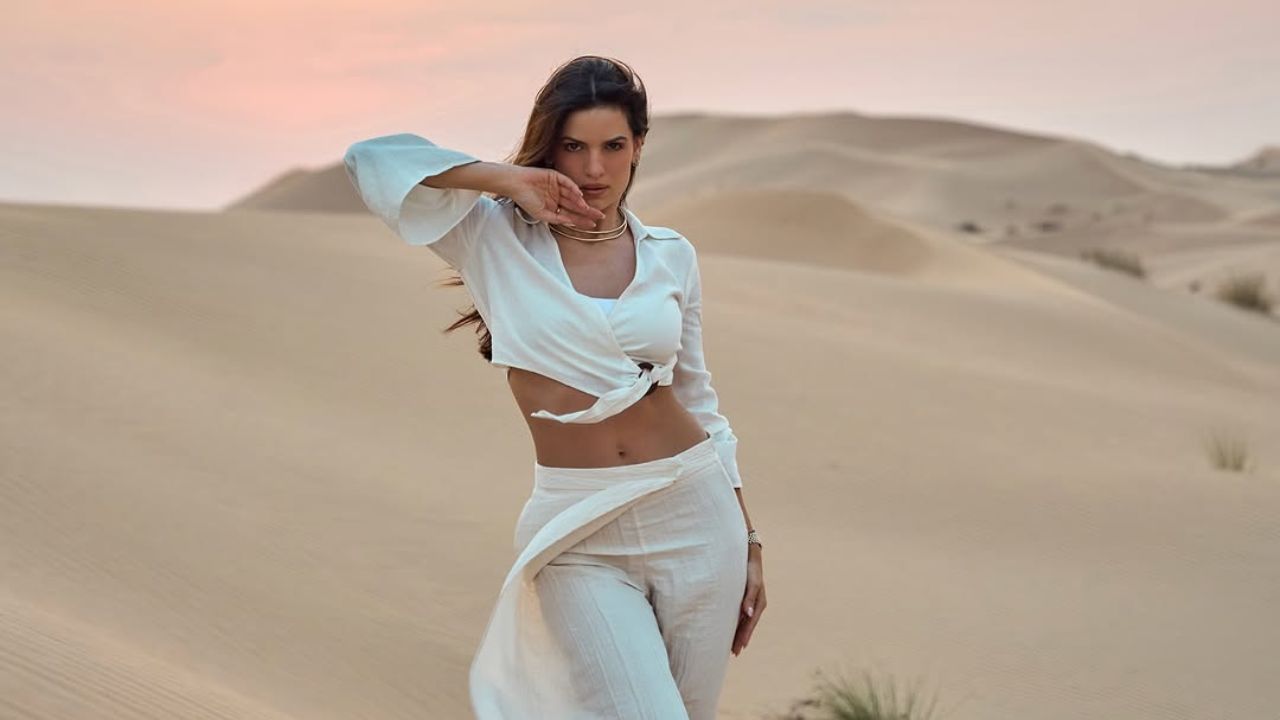 आता, नताशा तिच्या सौंदर्याने पुन्हा एकदा सर्वांचे लक्ष वेधून घेतले आहे. तिने इन्स्टाग्राम हँडलवर काही फोटो शेअर केले आहेत आणि तिचा ग्लॅमरस लूक पाहून चाहते चकीत झाले आहेत. पांढऱ्या ड्रेसमध्ये, ती अबू धाबीच्या वाळवंटात पोझ देताना दिसली आहे. 