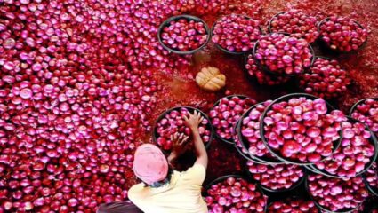 Onion Rate : कांदा लागवडीवर ६०,००० रुपये खर्च, हाती दमडीही नाही; शेतकऱ्याला अश्रू अनावर