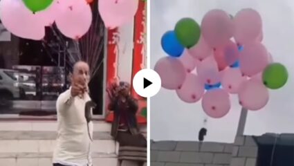 उंदीर मामा चालले गावा! फुग्यांना बांधली शेपटी, उंदीर थेट ढगांवर झाला स्वार; प्राण्याची हतबलता अन् ते दृश्य… Video Viral