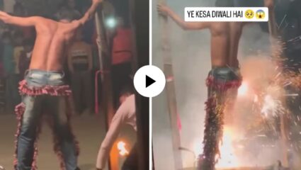 पैशांसाठी जीवाशी खेळ! भावाच्या हिमतीला सॅल्युट; अंगाला गुंडाळली फटाक्यांची माळ अन् पेटवली वात, पुढे काय घडलं? Video Viral