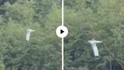 आनंदाचा उत्साह, दुःखाच्या किंचाळीत बदलला! झिपलाइन वायर तुटली अन् मनालीत 12 वर्षांची मुलगी 30 फुटाच्या दरीत कोसळली; Video Viral