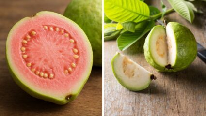 सफेद की गुलाबी, कोणत्या रंगाचा पेरू आहे सुपरफ्रुट; हृदयापासून शुगरपर्यंतच्या सर्व आजारांवर ठरतो औषधी