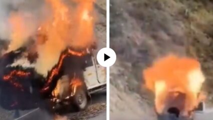 पेट घेताच आगीचा गोळा बनली कार, 1 किलोमीटरपर्यंत जळती कार चालवत राहिला ड्रायव्हर… घटनेचा थरारक Video Viral