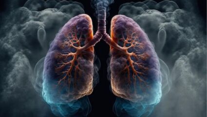फटाक्यांचा काळा धूर संपूर्ण शरीरात पसरलाय? हे 5 घरगुती उपाय फुफ्फुसांमध्ये अडकलेली सर्व घाण-श्लेष्मा काढतील बाहेर