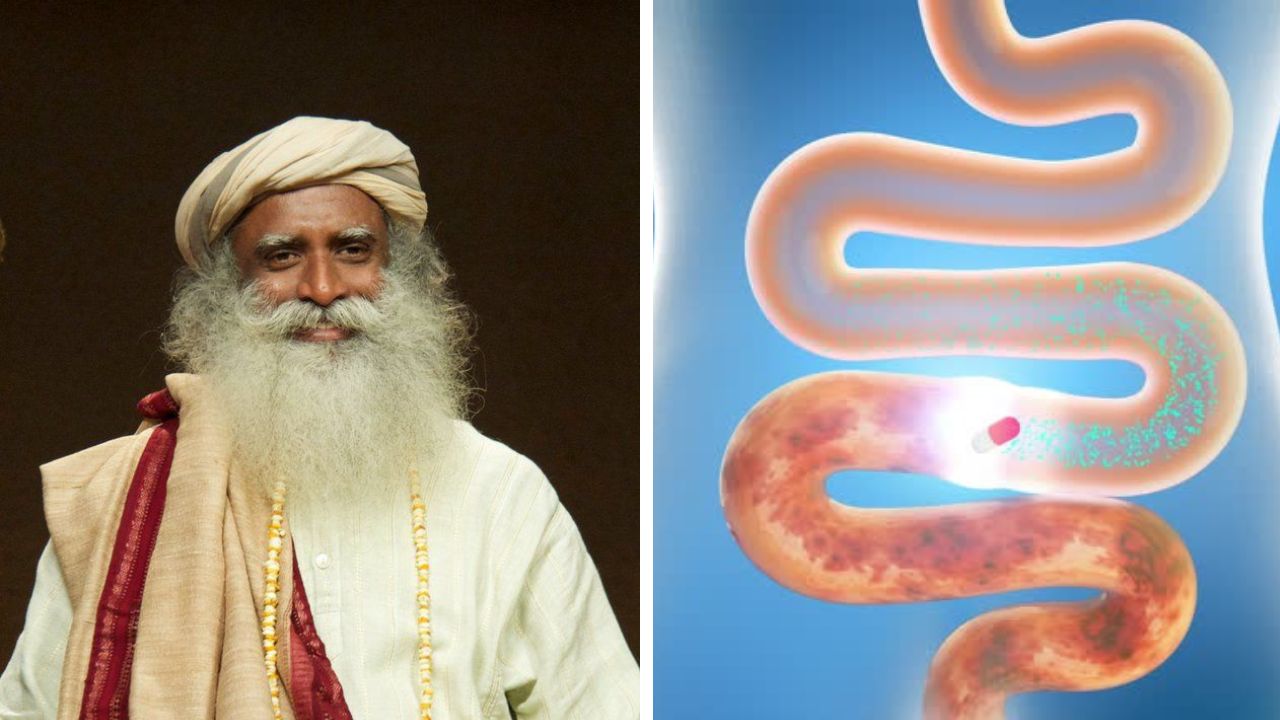 आतड्यांमध्ये साचलेला मल बाहेर कसा काढायचा? सद्गुरूंनी सांगितले 3 प्रभावी उपाय; या घरगुती पदार्थांचा करावा लागेल वापर