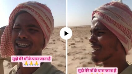 ‘मी मरून जाईल, मला माझ्या आईकडे जायचं आहे’, सौदी अरेबियामध्ये अडकला प्रयागराजचा तरुण… रडत केली परतण्याची मागणी; Video Viral