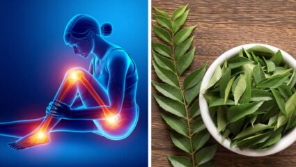 लोखंडासारखी शरीरातील 206 हाडे होतील मजबूत, फक्त या पदार्थांचे सेवन करा; हाडांमधील कॅल्शियम वाढेल दुपटीने