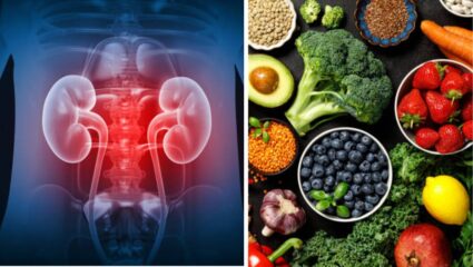 किडनीला आतून स्वछ करतील हे 5 सुपरफूड, आजपासूनच करा आहारात समावेश; भविष्यात कधीही होणार नाही कोणताही त्रास