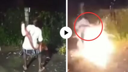 मस्ती बेतली असती जीवावर! दिवाळीचा बारासकट माणूसही फुटला; चुकून पेटली वात, फुटली हातातली माळ… Video Viral