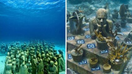 समुद्राच्या आत वसलंय हैराण करणारं जादुई जग, कॅनकुनचे Musa Museum जिथे मुर्त्या पाण्यात श्वास घेतात