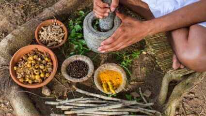 पारंपारिक औषधांची वाढली लोकप्रियता अन् विश्वासार्हता; अब्जावधी लोकांसाठी आवश्यक आरोग्यसेवा