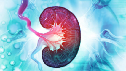 किडनीच्या रुग्णांसाठी बटाटे खाण्याचे तोटे