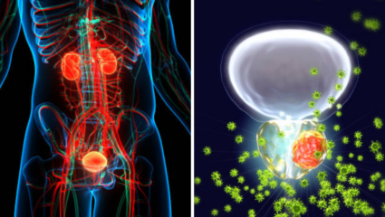पुरूषांनो सावधान! Prostate बाबत असणारे Silent Signs करू नका दुर्लक्षित, जाईल जीव