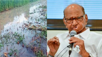 पिकांच्या नुकसानीमुळे शेतकरी संकटात; शरद पवारांनी सरकारकडे केली ‘ही’ मोठी मागणी
