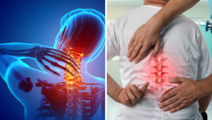 आतून खिळखिळी झाली हाडं, मिळतील 3 संकेत; सांगडा होण्यापूर्वी 4 कामं