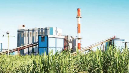 Sugarcane Bill : प्रतिटनामागे 15 रुपयांची कपात; सरकारच्या निर्णयावरुन शेतकऱ्यांत संतप्त पडसाद