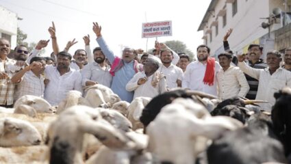 तासगावात चक्काजाम आंदोलन; शेतकऱ्यांच्या कर्जमाफीसाठी संजय पाटील आक्रमक
