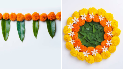 सणांसाठी केवळ अशोकाची पानं वा आंब्याची पानं तोरणांमध्ये का वापरली जातात, धार्मिक आणि वैज्ञानिक कारण जाणून घ्या