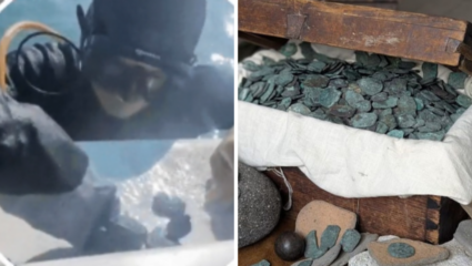 300 वर्षांनी सापडले ‘मृत्युचे जहाज’, सोन्याच्या शिक्क्याने भरलेला खजिना; Divers चे डोळेच दिपले