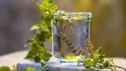 अनेक समस्या एक उपाय ; रोज उपाशीपोटी प्या तुळशीचं पाणी, होतील ‘हे’ जबरदस्त फायदे