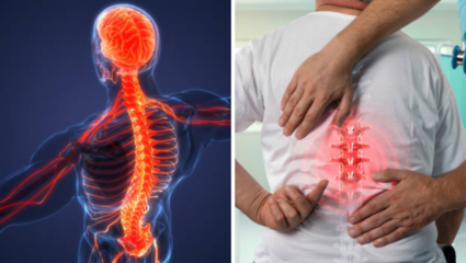 World Spine Day: गर्भधारणेदरम्यान, प्रसुतीनंतर आणि प्रौढांमधील मणक्याच्या समस्यांमध्ये ६०% नी वाढ