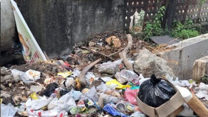 KDMC : MIDC निवासीमध्ये कचरा संकलनसाठी घंटागाडीचा घोळ; स्थानिकांचे नाहक हाल